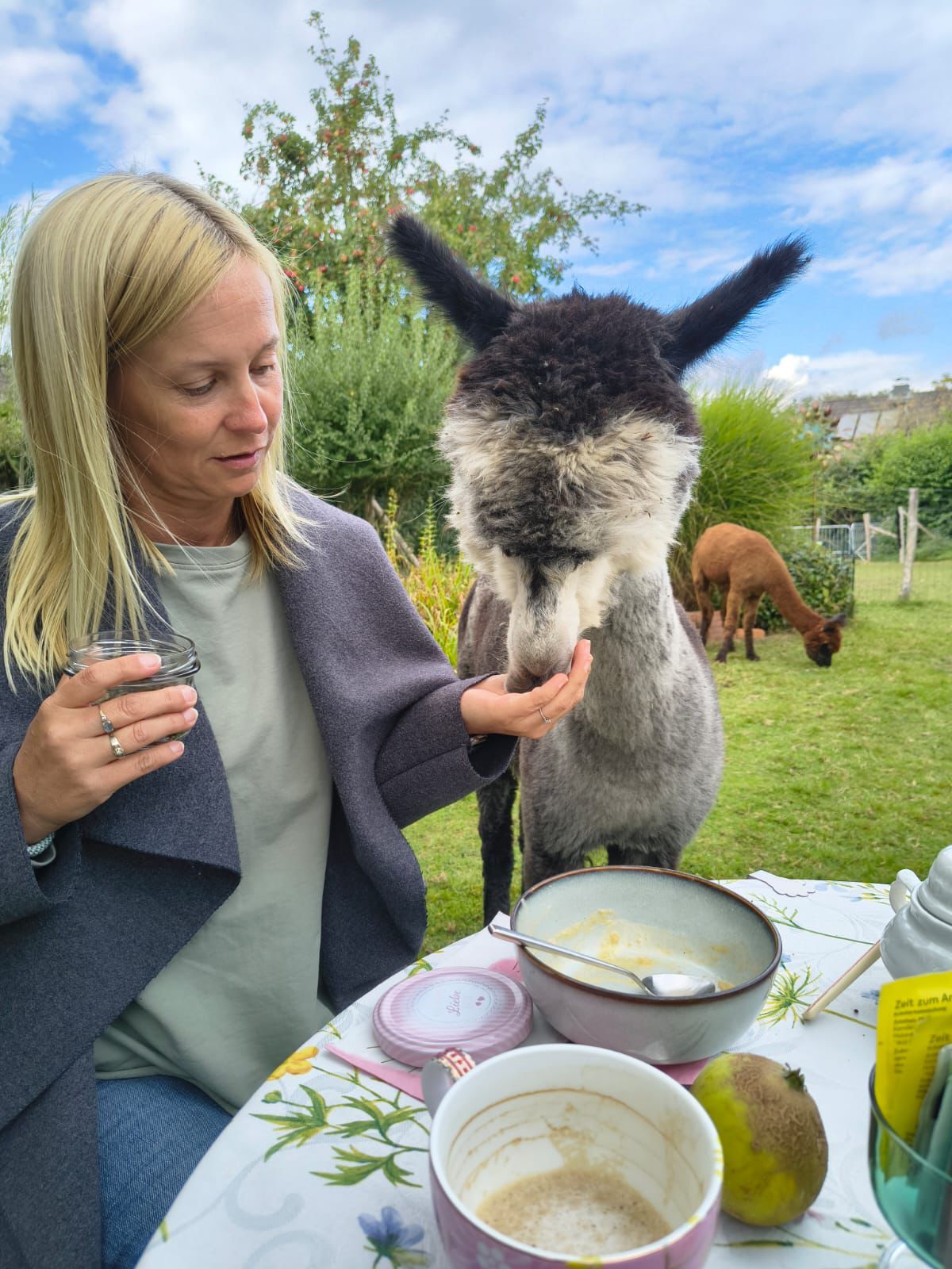 Entspannte Auszeit am Teich mit den Alpakas